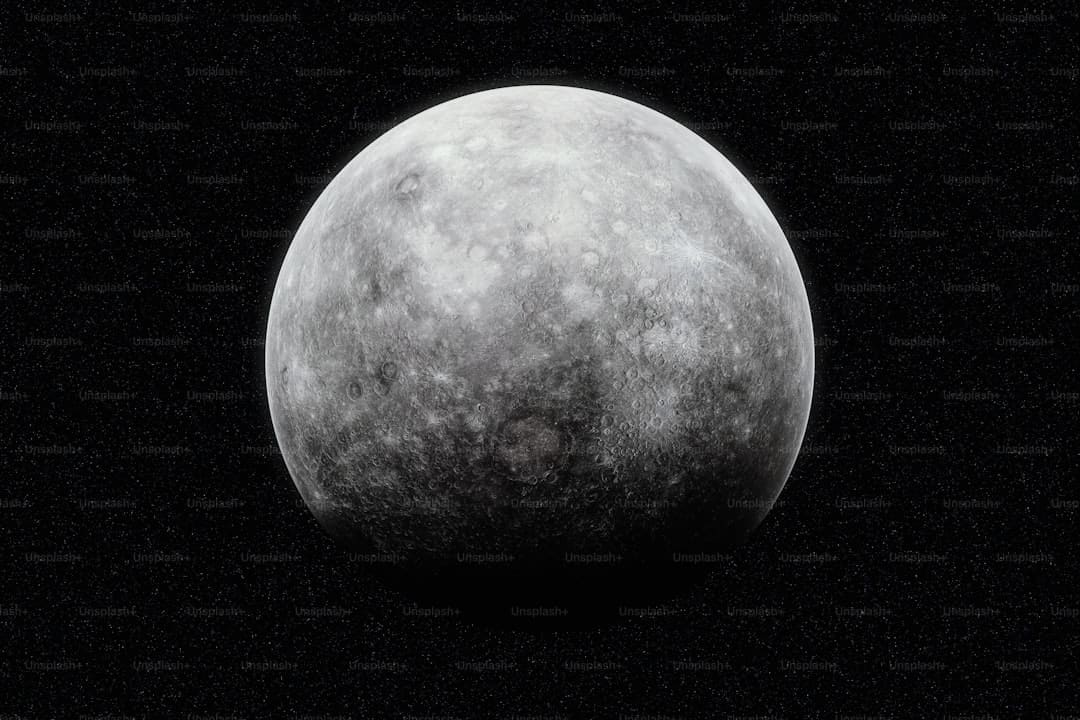 看阅兵时郑钦文张雨霏就坐在死后 体育明星齐聚观礼